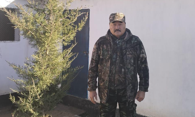 Жаңа алдау порно